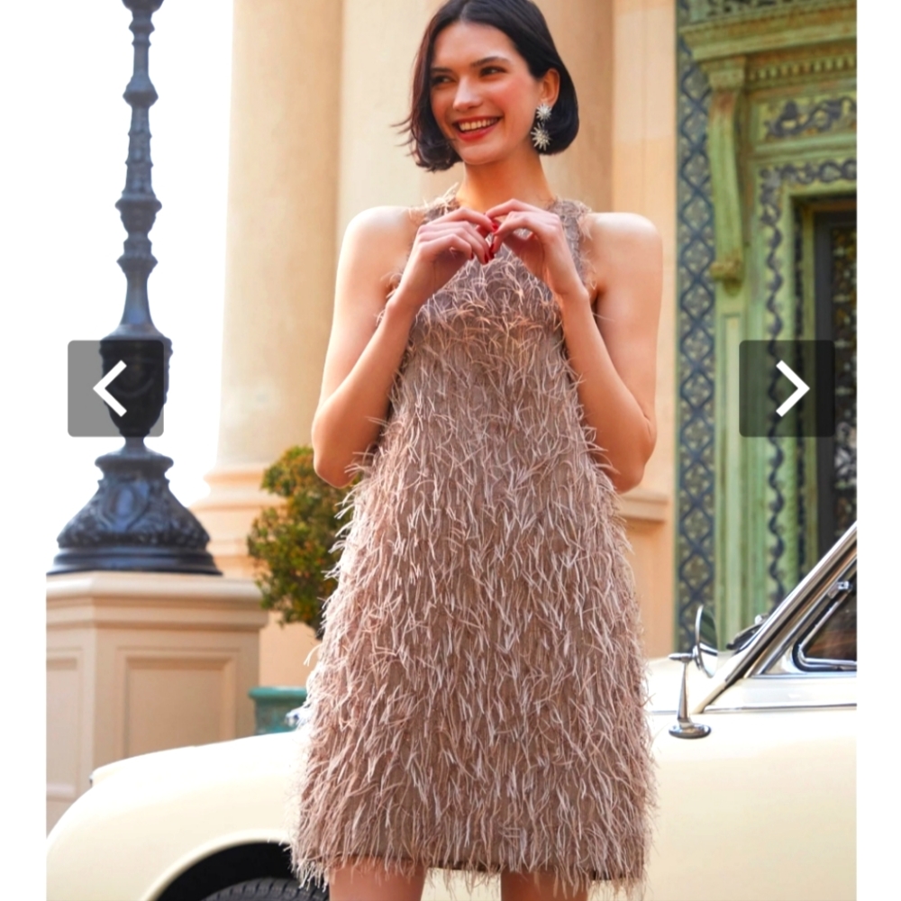 Gorgeous cocktail dress, NWOT